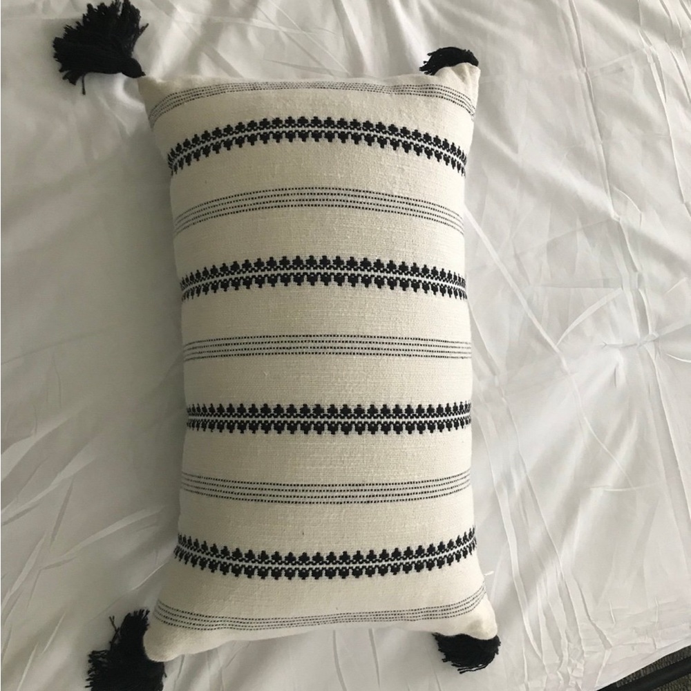 Tassle throw pillow